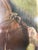 Realism Mid 20th Century Pastel or Chalk Drawing on Paper Framed For Sale - Image 3 of 5