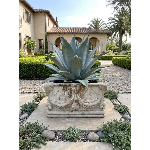Vintage Neoclassical Cast Stone Planter With Ram's Head and Lion Masks For Sale In West Palm - Image 6 of 12