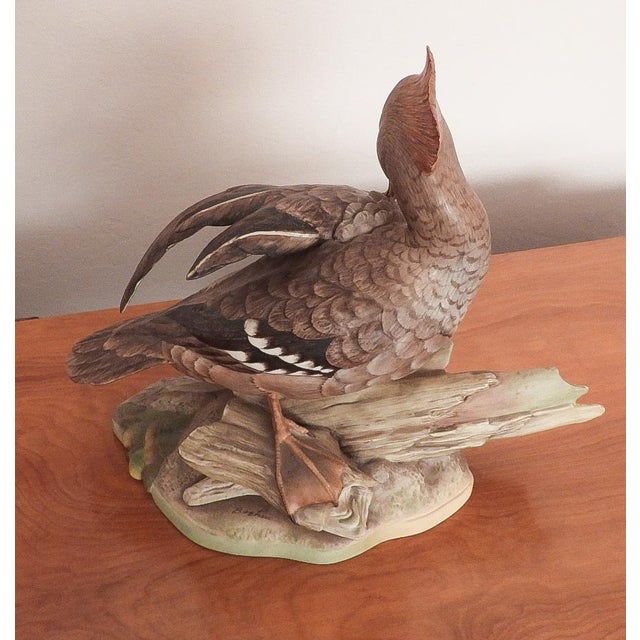 Black Boehm Porcelain Sculpture Pair Hooded Mergansers Water Fowl Birds Male & Female For Sale - Image 8 of 12