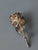 Mid-Century Modern Vintage 1960's 925 Silver Rose For Sale - Image 3 of 3