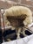Late 19th Century Vintage English Barrister Wig in Tole Case For Sale - Image 5 of 6