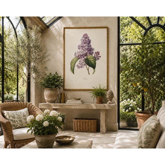 Lilac by Redouté, Vintage Botanical Art Print, 20" X 30" For Sale - Image 9 of 11