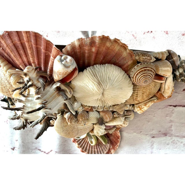 Vintage Pair of Shell-Encrusted Wall Sconces For Sale - Image 11 of 13