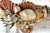 Vintage Pair of Shell-Encrusted Wall Sconces For Sale - Image 11 of 13