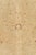 Antique Circa 1920 Tan Meshad Hand Knotted Rug 9ft 11in X 13ft 2in For Sale - Image 15 of 15