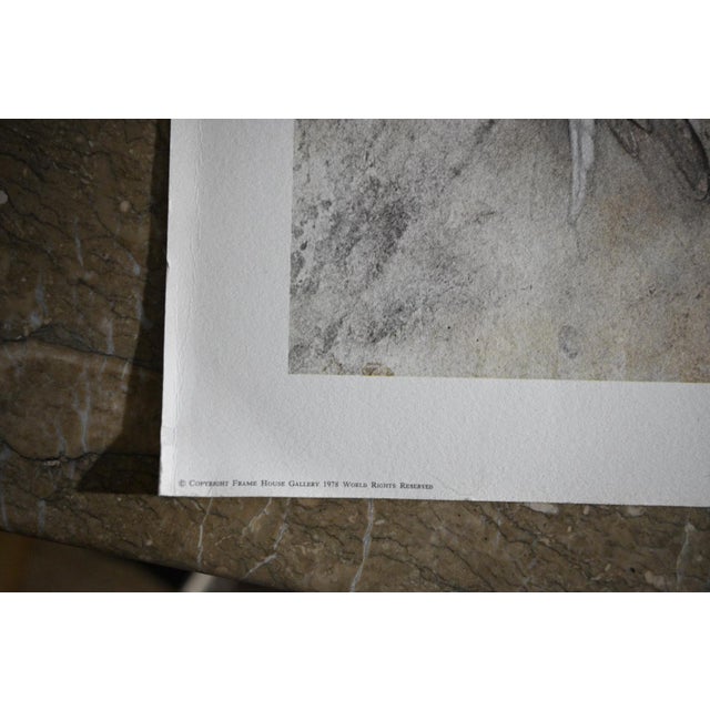 “Falcons in Flight” Limited Edition Print by Sue Wise, 1977 For Sale In Denver - Image 6 of 7