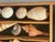 Nature’s Beauty great selection of natural sea shells, large sand biscuit, White Sea Star - marine life organic specimens.
