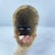 Early 20th Century Ogoni Wood Mask Movable Jaw Nigeria For Sale - Image 4 of 8