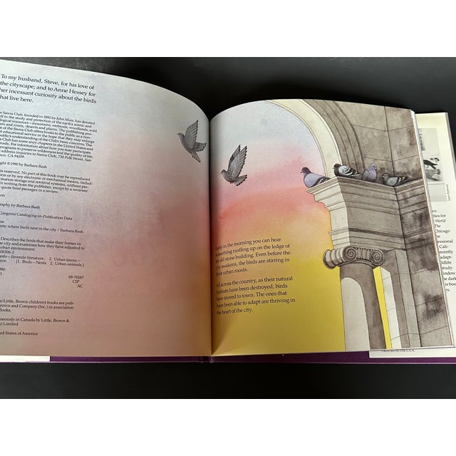 New York City Urban Roosts Vintage Children's Book For Sale - Image 11 of 11