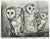 "Barn Owls" Lithograph by Christine McGinnis, Printed by David Lynch, 1978 Artist: Christine McGinnis Medium: Lithograph...