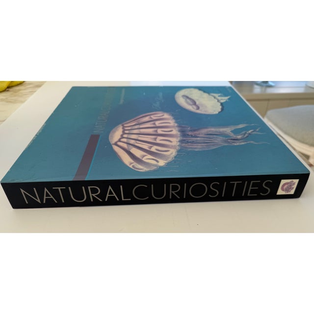 Illustration 1970s Natural Curiosities Collector's Album of 14 Artistic Prints For Sale - Image 3 of 17