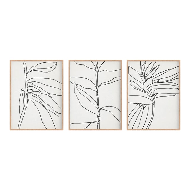 Contemporary Botanical Giclee Prints, Framed - Set of 3 For Sale