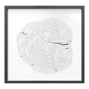 Stump 1 - Variation 11 by Trinette + Chris Print with Black Frame - 36 X 36