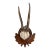Vintage German Roe Deer Antlers For Sale