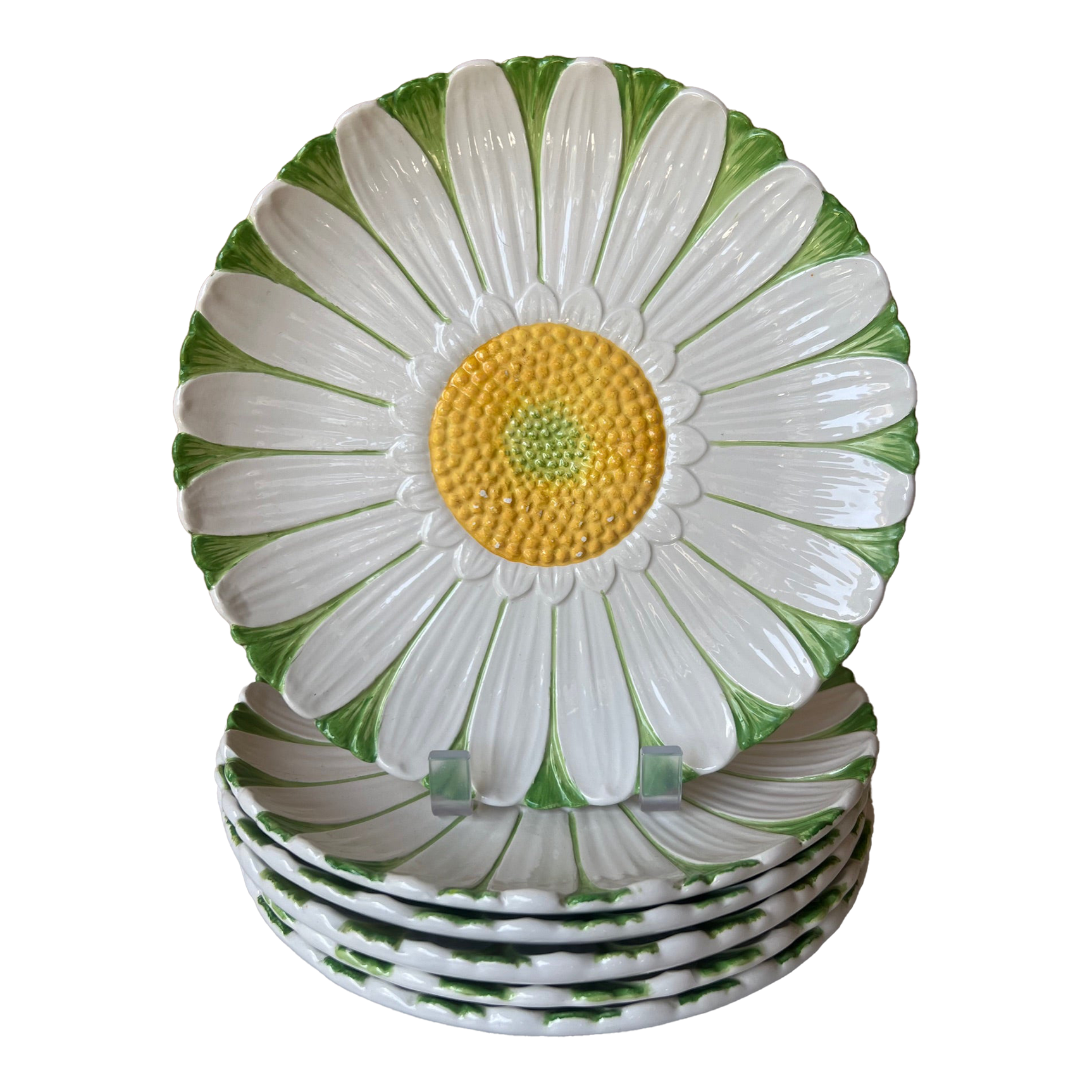 Daisy Lowe's Multicolor African Daisy in 6-Pack Tray NURSERY at Lowes.com