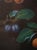 Green Pair of Fruit Prints by George Brookshaw For Sale - Image 8 of 14
