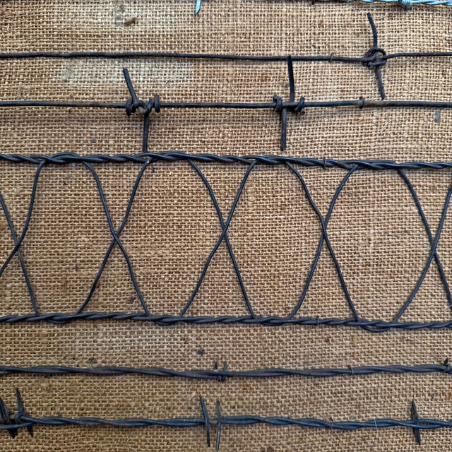 Collection of Mounted 19th Century American Barbed Wire Specimens For Sale - Image 13 of 17