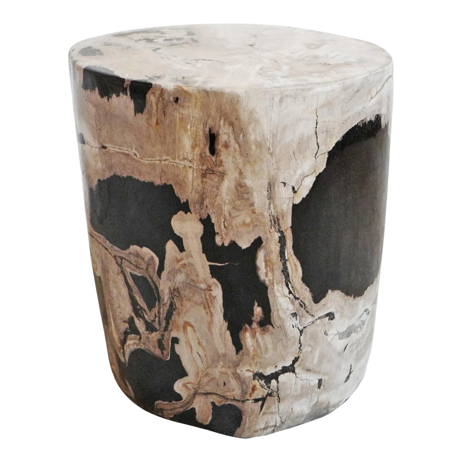 Petrified Wood Stump Side Table Chairish