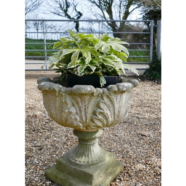Acanthus leaf weathered garden planter A good early 20th century planter, it is well weathered and has drainage in the...