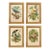 Set of 4 American Bird Illustration Framed Prints, Gold Frame For Sale