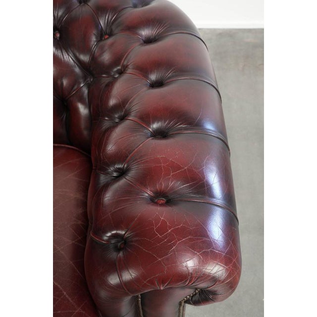 Maroon English Chesterfield Club Armchair For Sale - Image 8 of 14