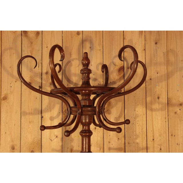 Parrot Coat Rack from Fischel, 1890 For Sale - Image 3 of 12