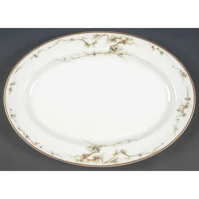 Oval Serving Platter Schleiger 432 by HAVILAND Crafted In France / Limoges Hand WashLength: 11 5/8 in