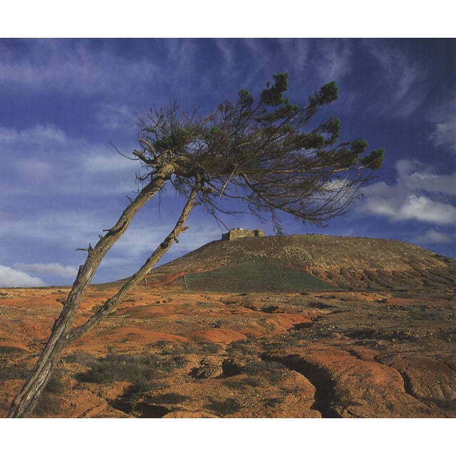 Artist: Klaus Tiedge Title: View of "Castillo de Guanapay", Lanzarote Year: 2009 Signed: No Medium: Offset Lithograph...