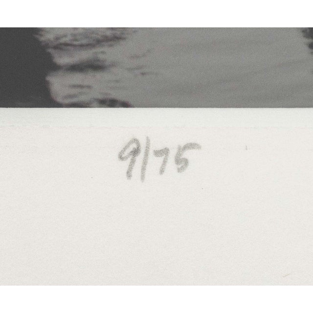 John Deng "Misty Li River" Chromogenic Print For Sale In New York - Image 6 of 10
