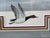Realism Late 20th Century Ducks on Lake, Print Artist Proof. Fully Framed & Tripple Matted With Glass. Marked: 14/50 Ap For Sale - Image 3 of 7