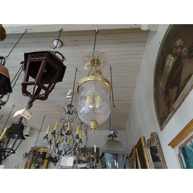 Antique French Glass Cloche Chairish