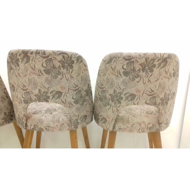 1950s Dining Chairs by Oswald Haerdtl, 1950s, Set of 4 For Sale - Image 5 of 13