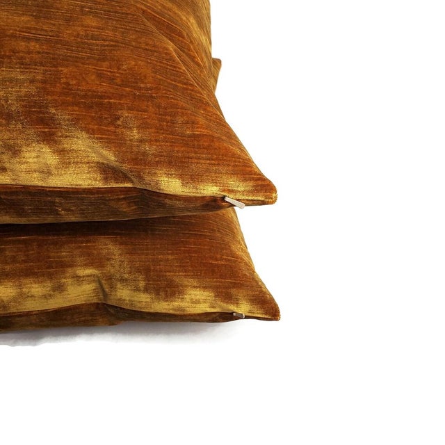 2020s Kravet Chic Velour in Antique Gold Velvet Pillow Cover - 20" X 20" Silky Plush Gold Velvet Cushion Case For Sale - Image 5 of 6