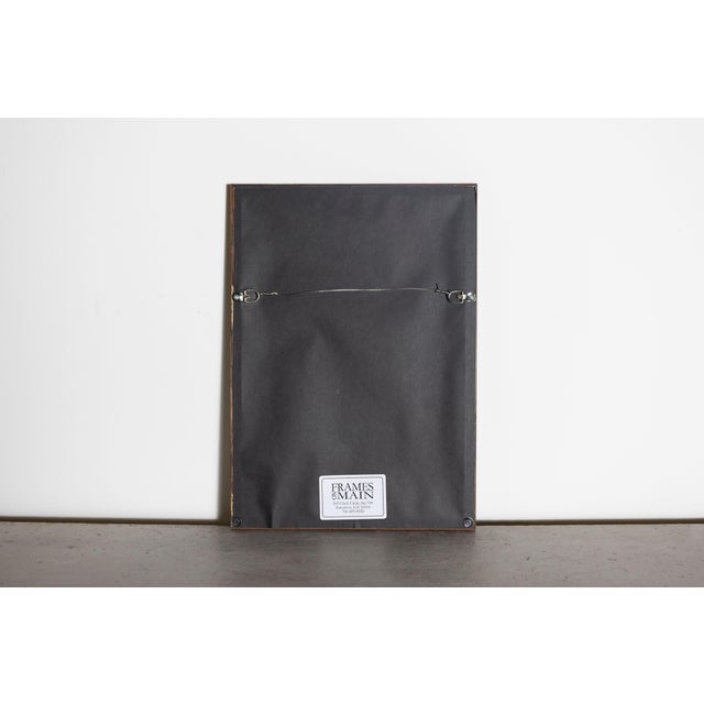 19th Century 19th Century John Gould Bird Print - One of 24 For Sale - Image 5 of 5