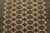 2020s Bokhara Rug 5’2” X 8′ Beige Wool Tribal Hand-Knotted Oriental Carpet For Sale - Image 5 of 12