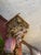 Unique hand carved corbels on chestnut wood. The painting restored