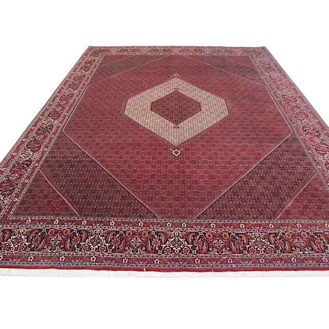 Bidjar Tekab Rug, 1990s For Sale - Image 18 of 18