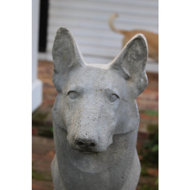 Large Pair of Pharaoh/Ibizan Hound Garden Statues by Pennoyer Newman For Sale - Image 14 of 16