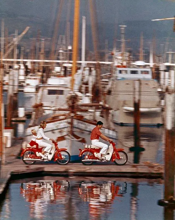 1964 