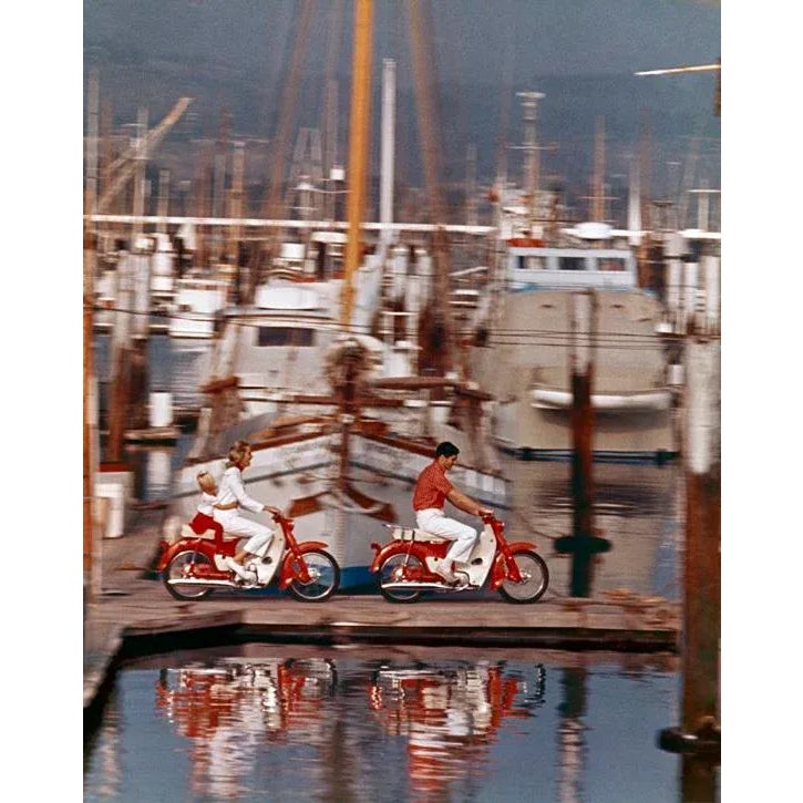 1964 