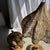 Traditional Indonesian Decorative Wooden Bird on a Base with Crest For Sale - Image 13 of 17