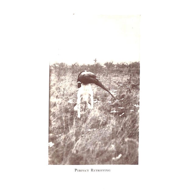 Traditional "How to Train Your Dog" 1940 Lytle, Horace For Sale - Image 3 of 7