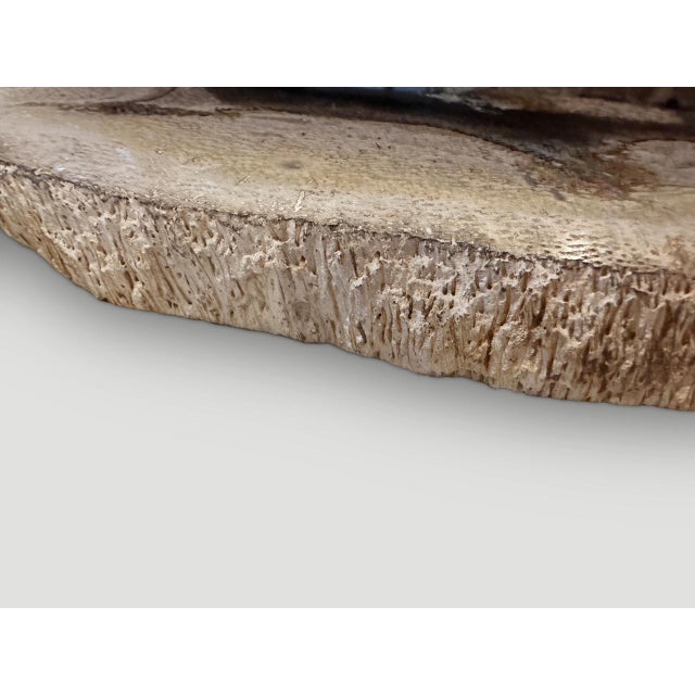 Andrianna Shamaris Rare Palm Petrified Wood Slab For Sale - Image 4 of 5