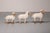 German Sheep by Hanns-Peter Krafft, 1980s, Set of 3 For Sale - Image 11 of 13