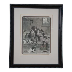 Stanley Berkely London News Privileged Visitor St Bernard Girl Dog Engraving 21"
