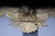 Patriotic Eagle Wall Decoration in Bronze Brass and Gold For Sale - Image 5 of 18