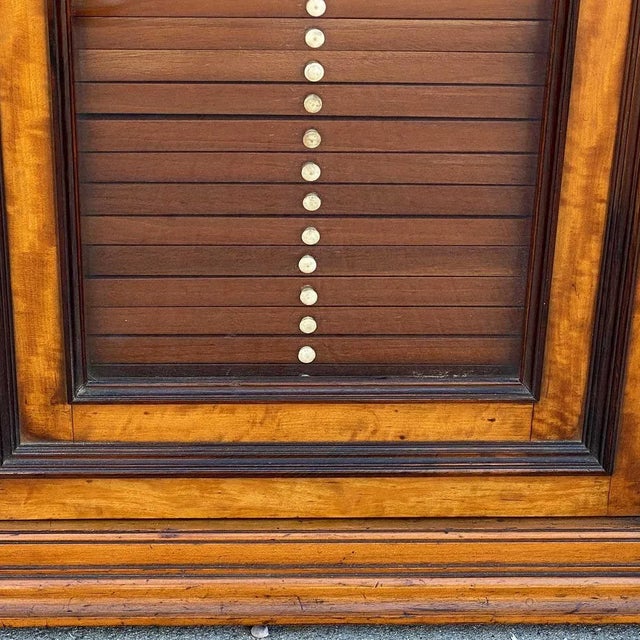 19th Century Flemish Burled Birch Glazed Door Microscope Slide Table Cabinet For Sale - Image 10 of 13