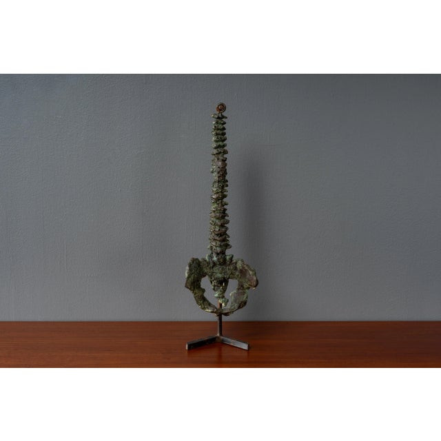 USA, ca. 1970s. An intricately rendered and finely cast bronze sculpture of a human spinal column with pelvic bones....