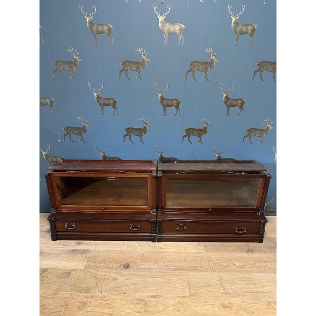 Mahogany Bookcase from Globe Wernicke, 1890s For Sale - Image 12 of 17