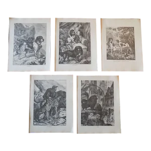 Antique 19th Century Dog Woodcut Engravings - Set of 5
